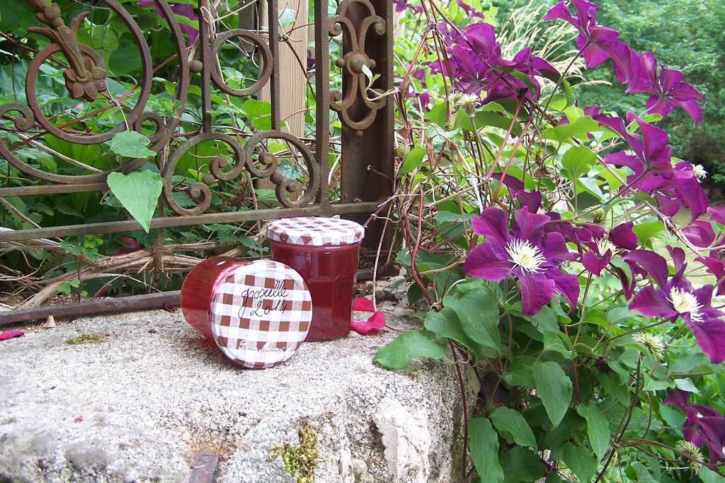 Domaine De Salomony Villa Marcols-les-Eaux Exterior foto